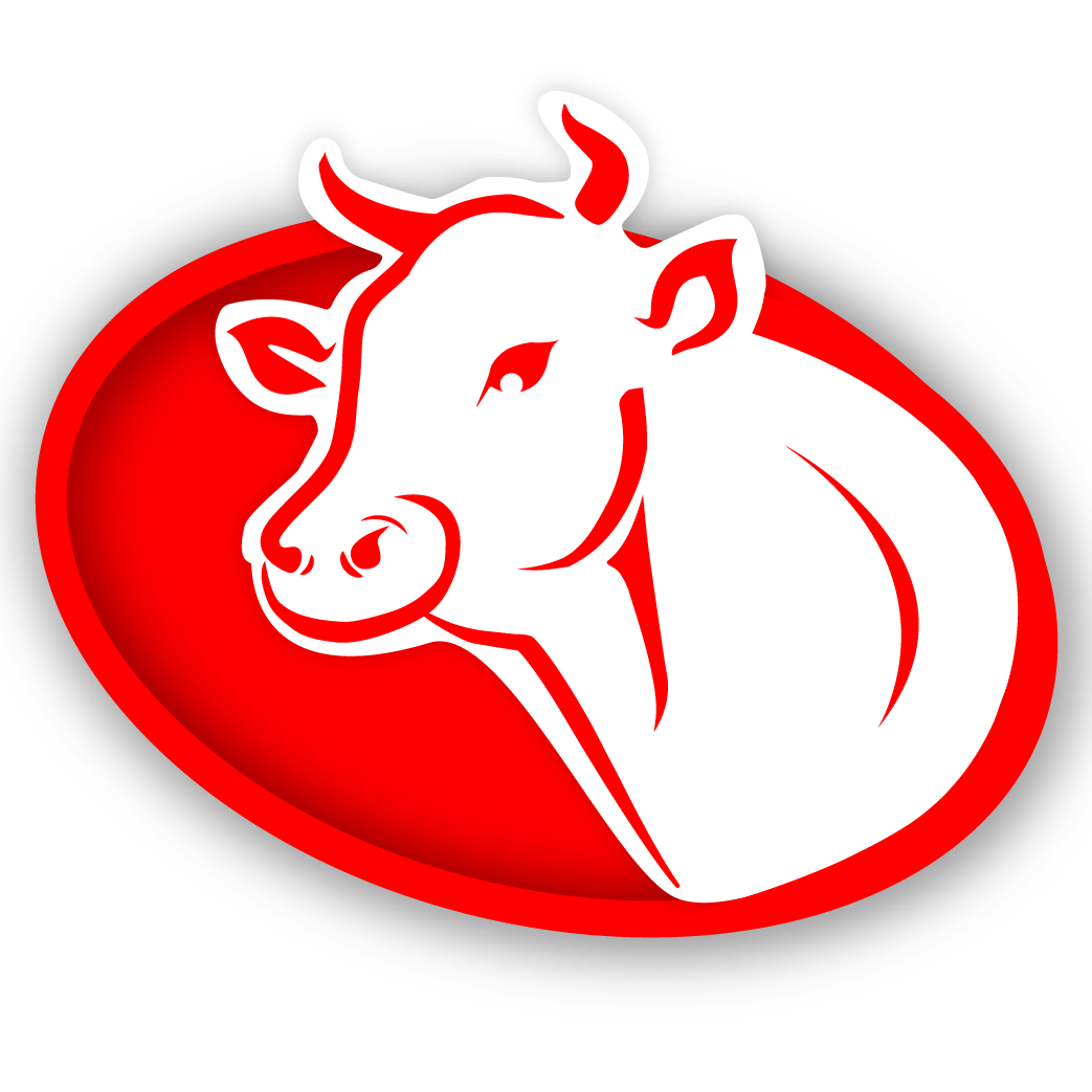گوساله