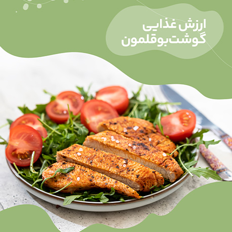 خواص و فواید گوشت بوقلمون | خرید گوشت بوقلمون 