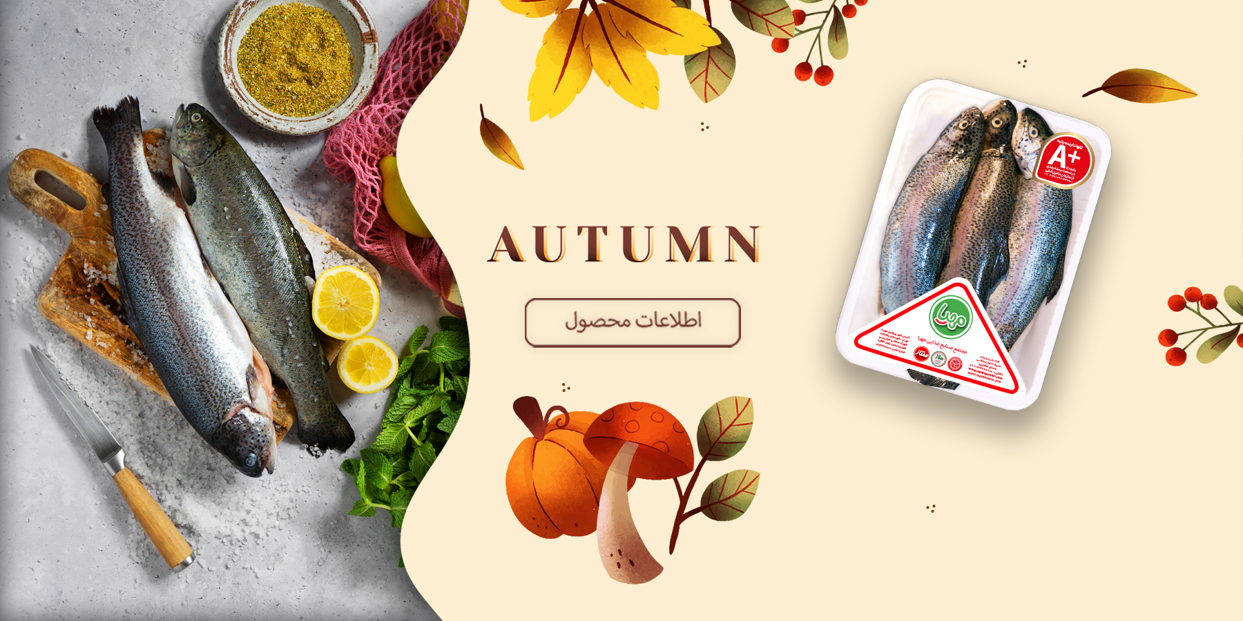 ماهی قزال آلا