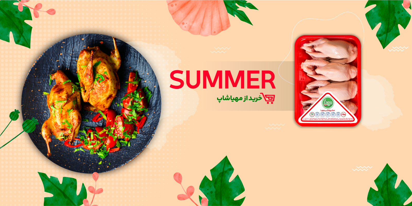 بلدرچین